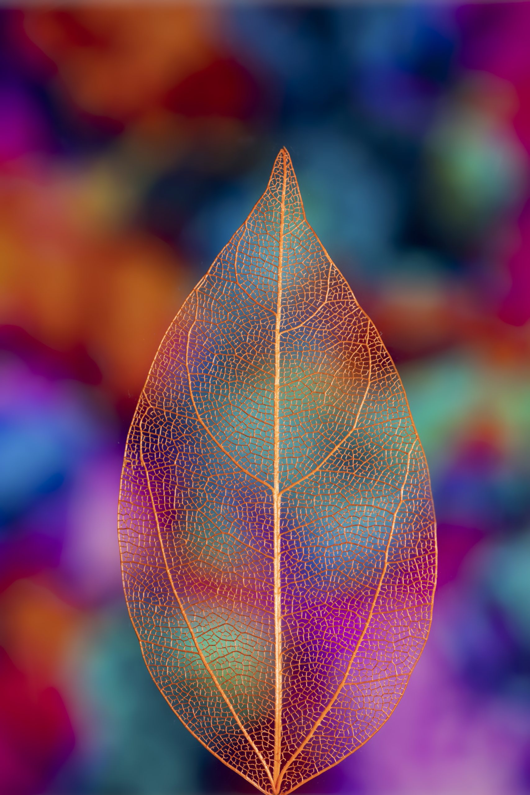 Doświadczenie własne procesu grupowego